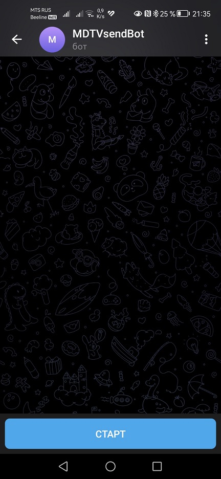 Запуск бота